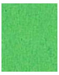 Folia carton photo papier créatif vert pomme 50x70cm 300g 25 feuilles
