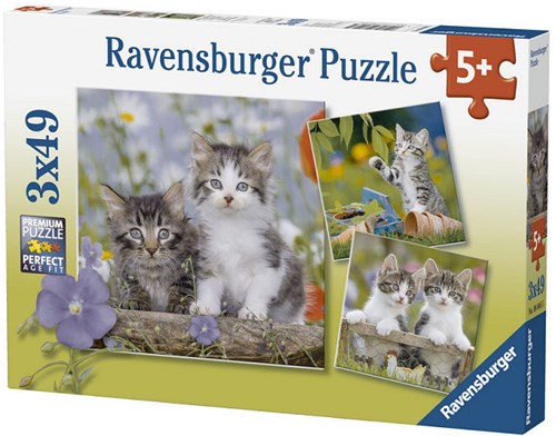 Ravensburger puzzle chat - 3x49 pièces - puzzle animaux pour enfants