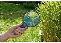 Haba Kinderloep Terra Kids - Vergrootglas voor jonge ontdekkers-3