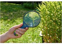HABA Terra Kids - Loupe pour enfants-3