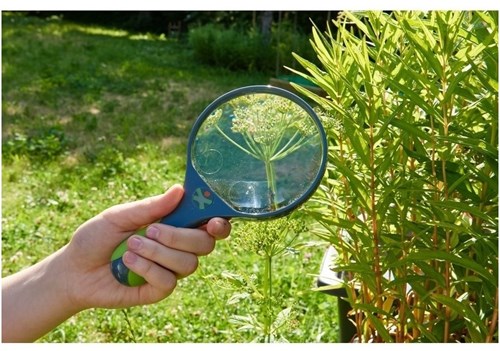Haba Kinderloep Terra Kids - Vergrootglas voor jonge ontdekkers-3