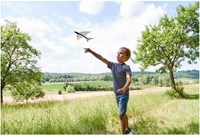 HABA Terra Kids - Fronde-oiseau-2