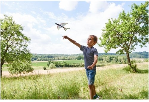 Haba Katapultvliegtuig Terra Kids - Speelgoed vliegtuig voor buitenplezier-2