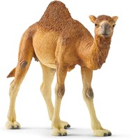 Schleich Safari - Figurine dromadaire 14832 jouet pour enfants-2