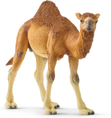 Schleich Safari - Dromedaris speelfiguur 14832 kinderspeelgoed-2