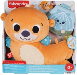 Mattel Fisher-Price 2-in-1 Rockin' Tummy Time Otter baby speelgoed