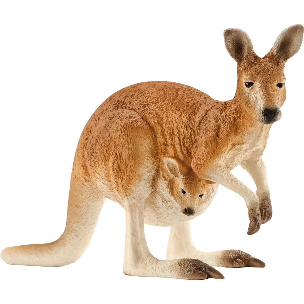 Schleich Safari - Figurine kangourou jouet Wild Life 14756