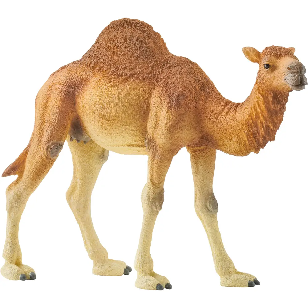 Schleich Safari - Figurine dromadaire 14832 jouet pour enfants