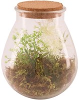 Kunstplant in glazen vaas - decoratie naturel groen 19.5x23.5cm