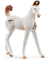 Schleich Horse Club Marwari Veulen - Speelfiguur Paard - Dieren