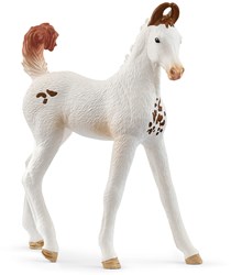 Schleich Horse Club Marwari Veulen - Speelfiguur Paard - Dieren