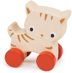 Mentari Kitten Op Wielen