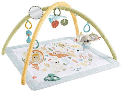 Fisher-Price babygym Sensimals newborn speelmat multicolor-3