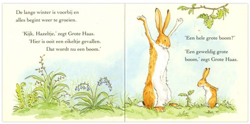 Lemniscaat Raad eens hoeveel ik van je hou mini verzamelbox kinderboek-3