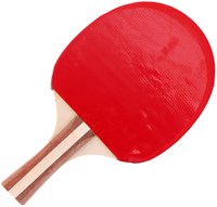 Alert raquette de tennis de table 3 étoiles sport pour enfants et adultes-2