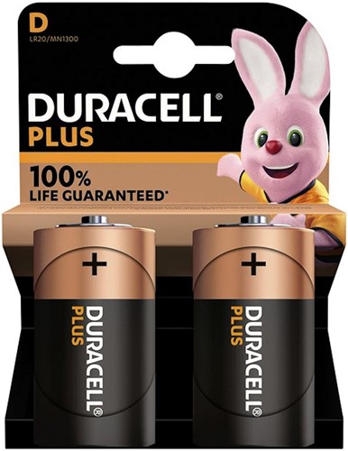 Duracell D-batterijen alkaline 2 stuks van der Meulen energie