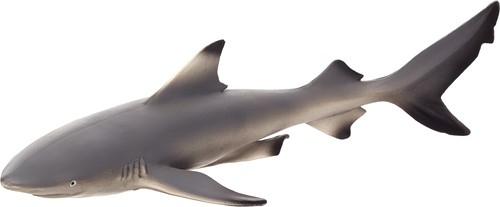 Mojo Sealife speelgoed Zwartpuntrifhaai - 387357