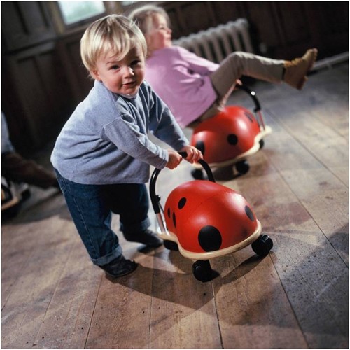 Wheelybug trotteur coccinelle - petit modèle-2