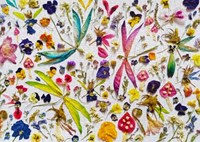Enjoy Puzzle legpuzzel Fairies and Dragonflies 1000 stukjes karton-2