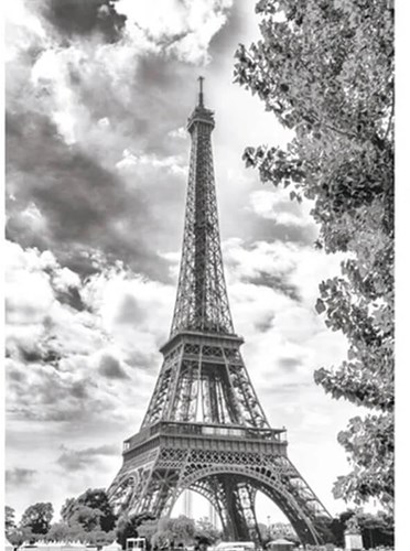 Dino Eiffelturm Schwarz und Weiss - 500 Teile