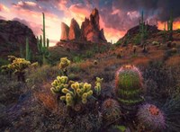 Legpuzzel Cactus, 500st.-2
