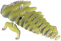EUGY EUGY 3D - Tuatara-3