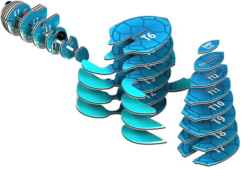 Eugy 3D puzzel schildpad - duurzaam kartonnen bouwpakket dier-3