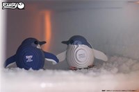 Eugy 3D puzzel - Pinguïn kartonnen bouwpakket speelgoed