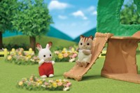 La cabane et Ambrose le bébé écureuil roux-2