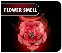 Revell houten bloemen Dream of Roses met vaas en geurdecoratie-3