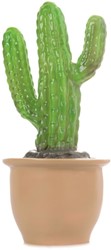 Egmont Toys Heico lamp Vingercactus in bloempot 37,5