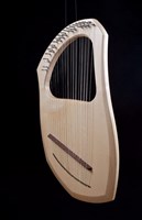 Auris lier muziekinstrument chromatisch 30 snaren met koffer