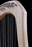 Auris lier muziekinstrument chromatisch 30 snaren met koffer-2