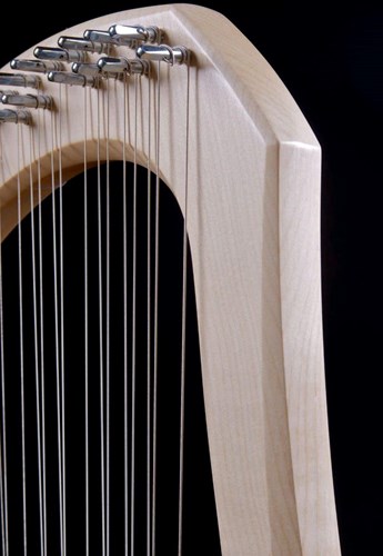 Auris lier muziekinstrument chromatisch 30 snaren met koffer-2