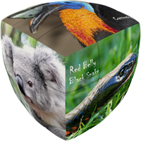 V-Cube 3 Australian Animals (pillow) - special request