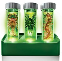 4M laboratoire bestioles lumineuses jouet expérience bioluminescence-2