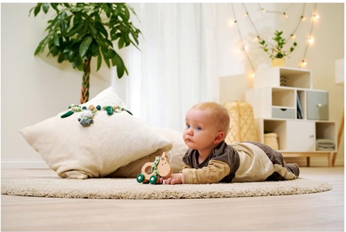 Eichhorn jouet à pousser en bois âne bébé certifié FSC motricité-3