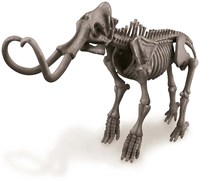 4M KidzLabs:  graaf-je-dinosaurus-op (mammoet) / f r a n s t a l i g e verpakking-2