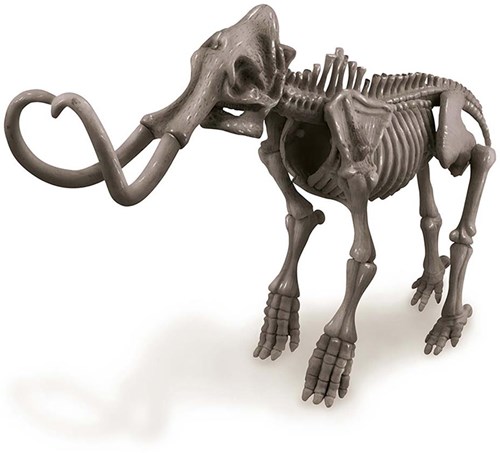 4M KidzLabs:  graaf-je-dinosaurus-op (mammoet) / f r a n s t a l i g e verpakking-2