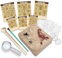 Kit de fouille 4M Insectes - Français-2