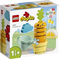 Duplo Wachsende Karotte
