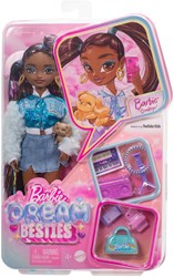 Barbie modepop Brooklyn met accessoires - Barbie Dream Besties pop