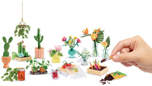 Coffret créatif mini botanicals deluxe DIY plantes miniatures-2