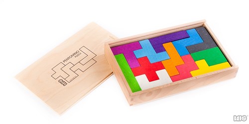Bajo houten pentomino puzzel educatief speelgoed ruimtelijk inzicht-3