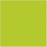 Creativ Company pâte à modeler lime green - pâte à cuire au four 56 grammes-2