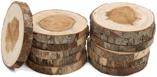 Colorations rondelles en bois set créatif 8-10cm 12 pièces jouet créatif-2
