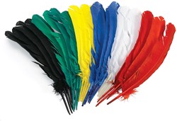 Colorations - Plumes créatives 30cm, lot de 24 couleurs vives