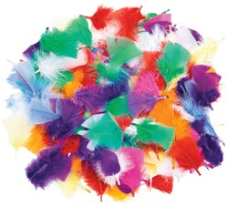 Colorations plumes arc-en-ciel loisirs créatifs - 85 grammes - plumes colorées
