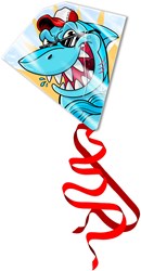 Kites Ready2Fly vlieger haai - kindervlieger transparant haai print