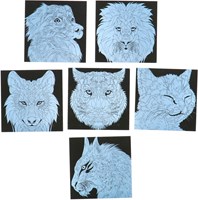 Scratch art kit créatif cartes à gratter animaux et mandalas 7 pièces papier FSC-3